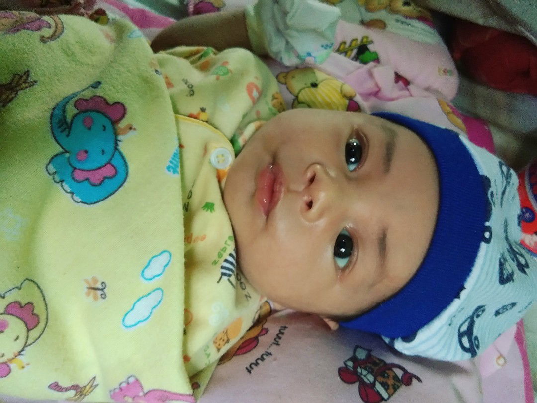 salam kenal semua nya