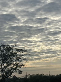 โออาย profile icon