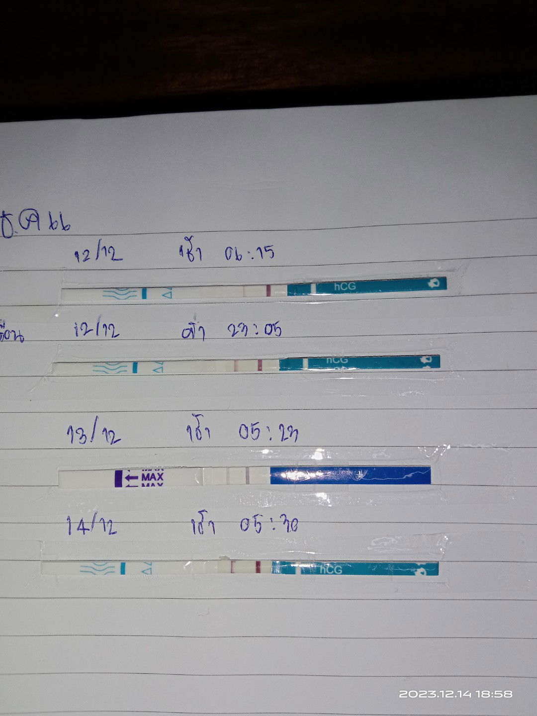 แวมารีแย  เจะการ์ profile icon