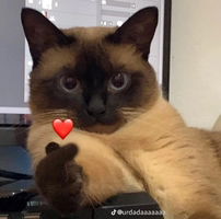 มีตังค์เองจ้า profile icon