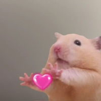 Chomphu Nut profile icon