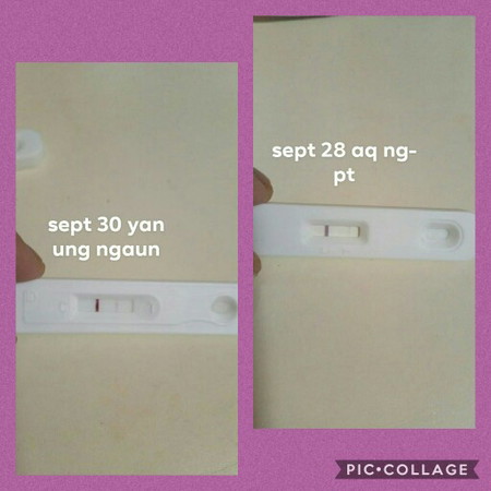 pregnancy test
