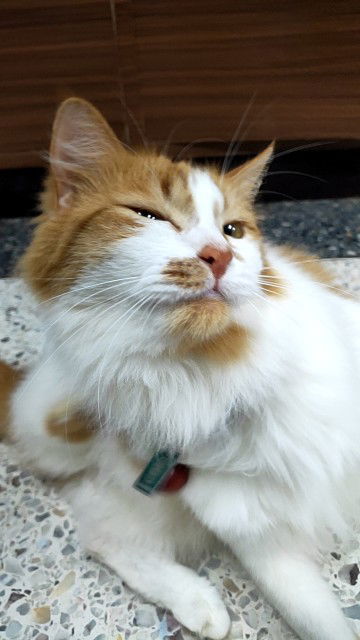 Mpl Mar profile icon