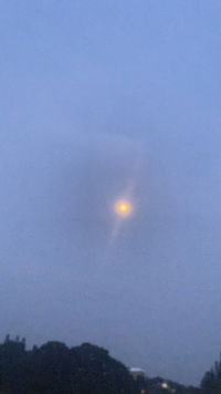 Linda Wulandari profile icon