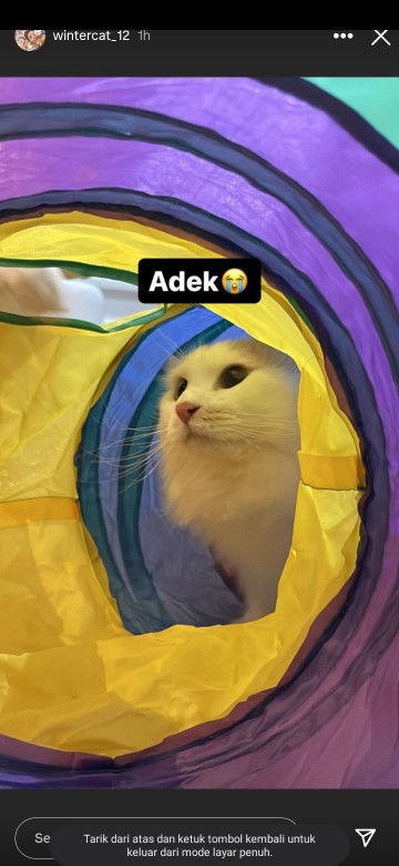 Fredella profile icon