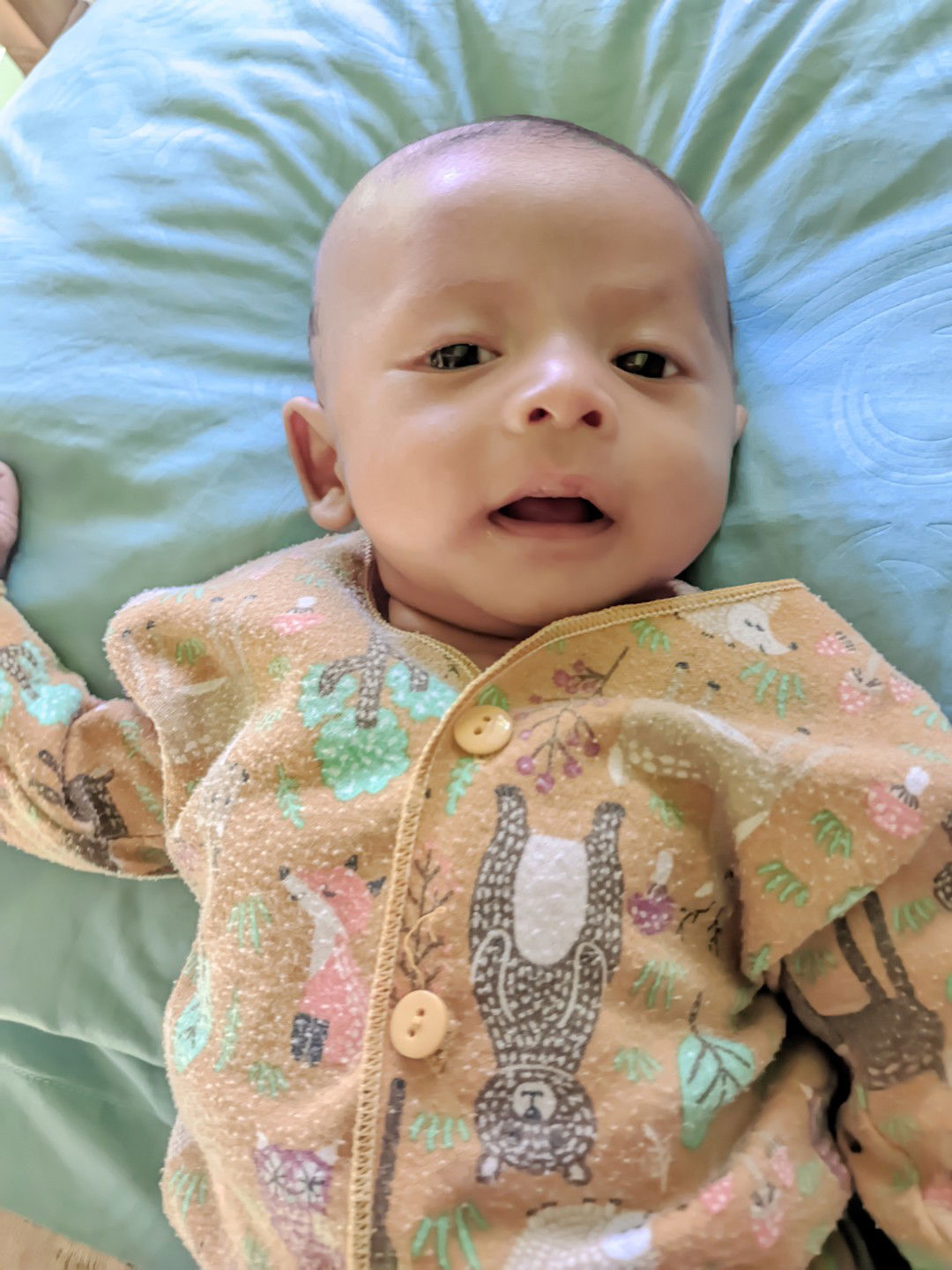 Vebri Anna profile icon