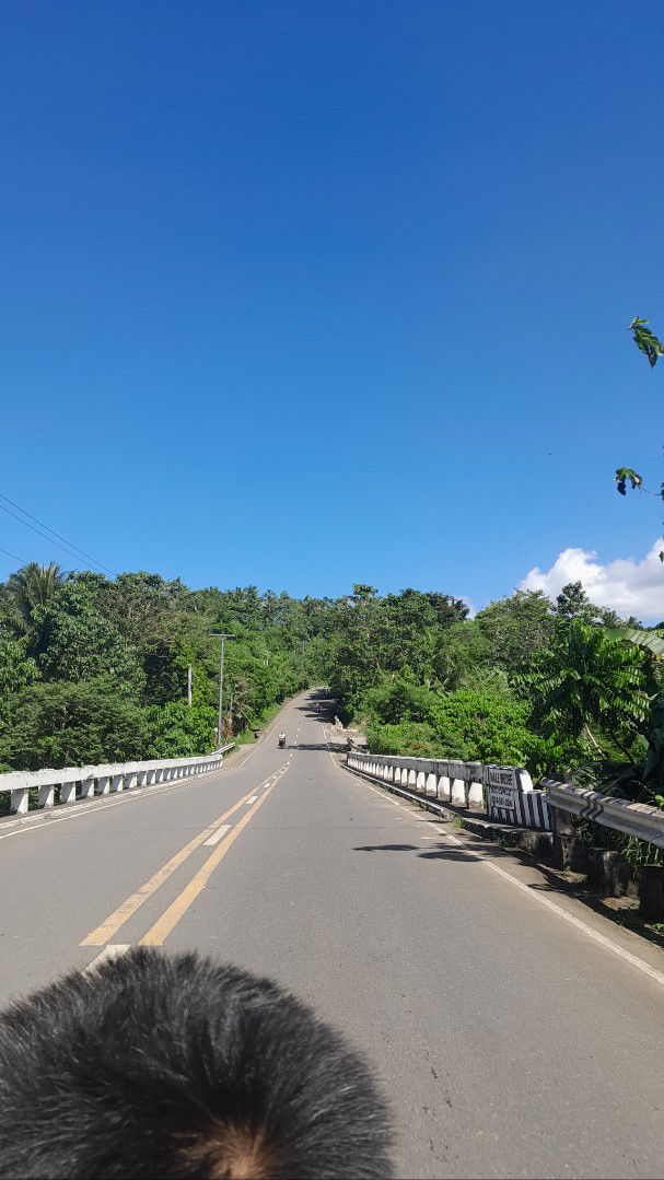 Cecille Taduran profile icon