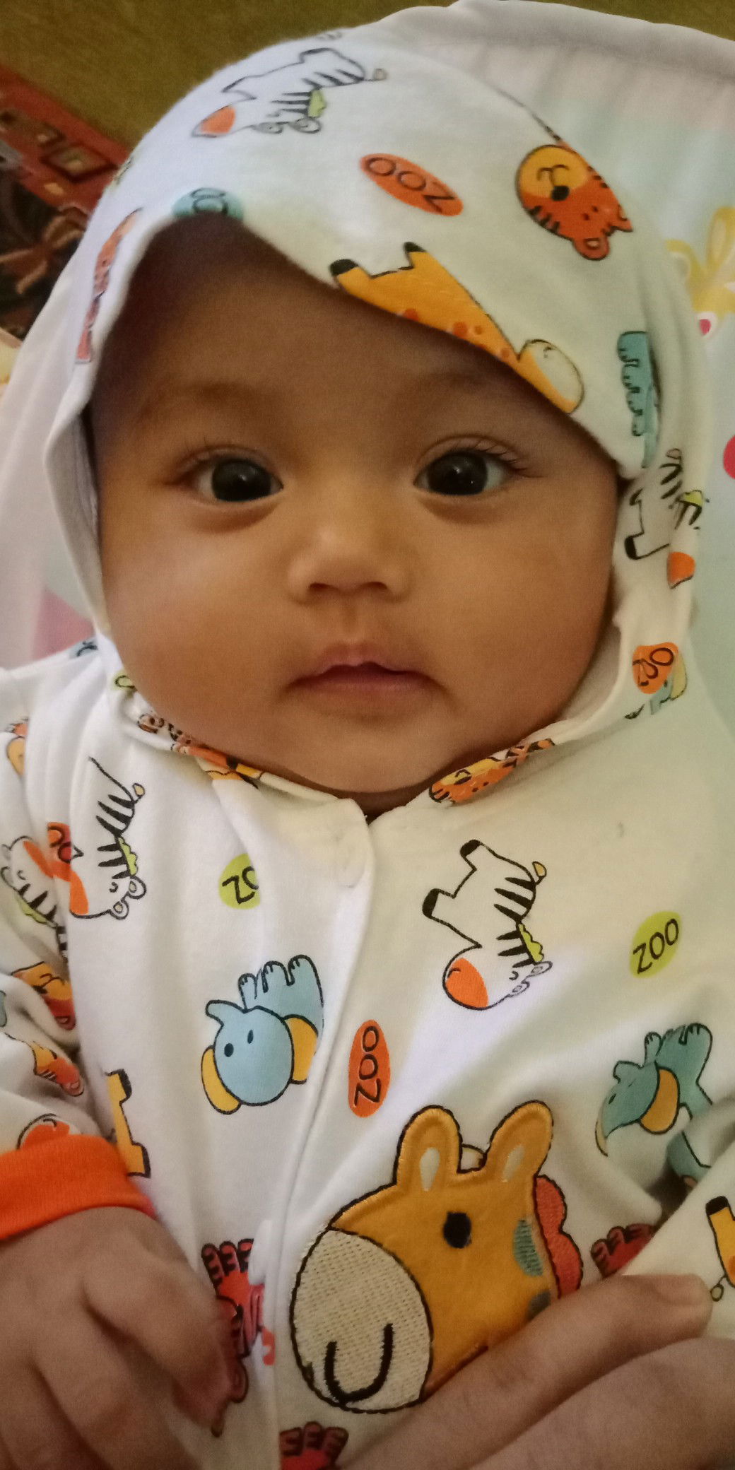 Mega Sukmawati Sagita profile icon