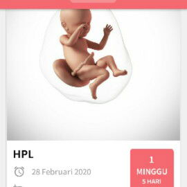 menunggu hpl