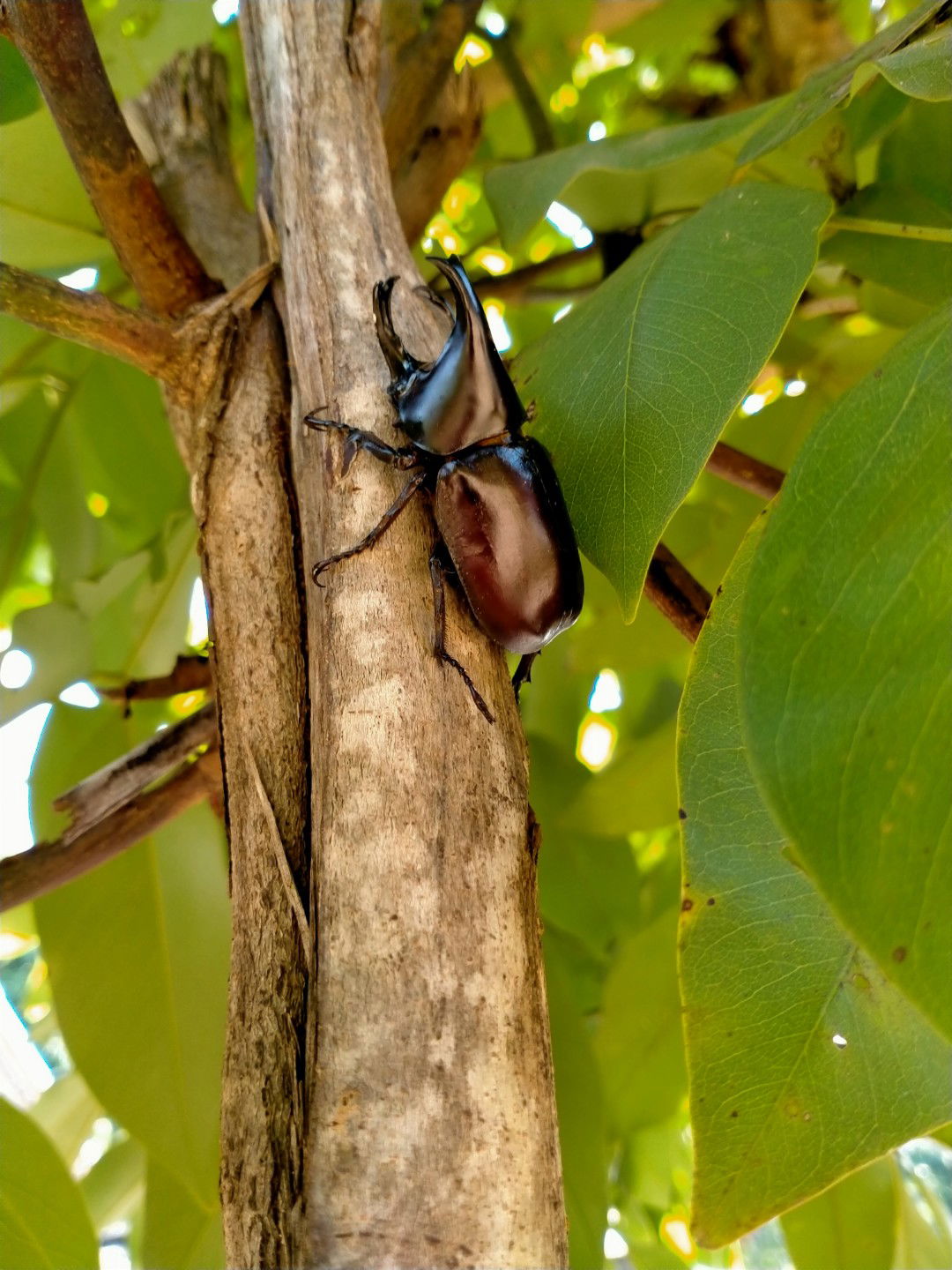 บีม เอ้ย. profile icon