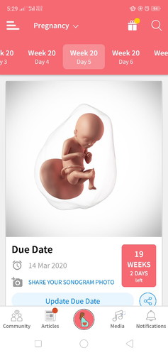 20 weeks