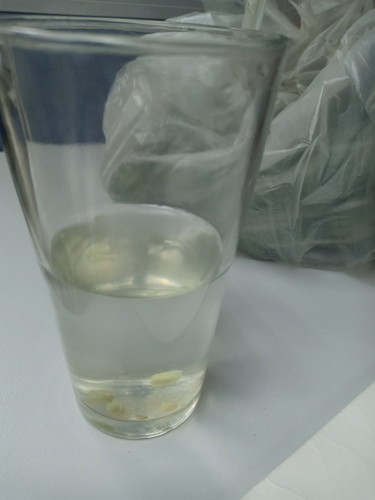calamansi water or lemon water