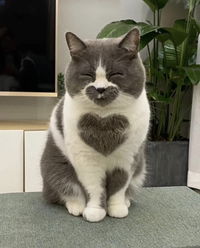 Azlin Azhar profile icon