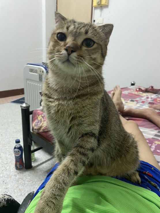 รัชนีกร profile icon