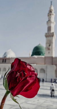 Khumaira Saman profile icon