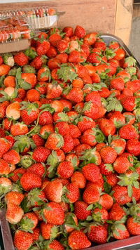 Desi Meliani Fitri profile icon