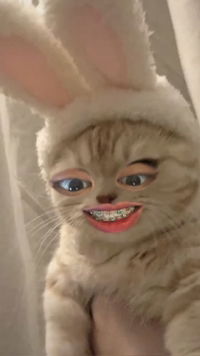 Pornthipa profile icon