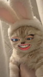 Pornthipa profile icon