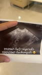 วรรณกมล วีระพันธ์ยานนท์ profile icon