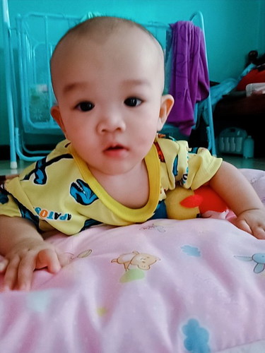 สาวน้อยอลิซ 4M15d
