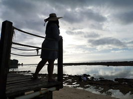 Ms.lavan profile icon