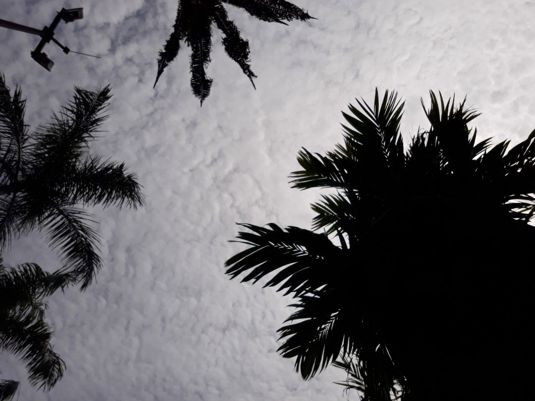 Nur huda profile icon