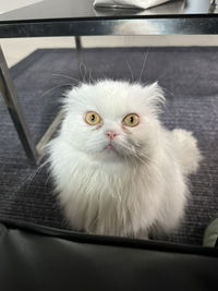 Witchuda Uadraw profile icon