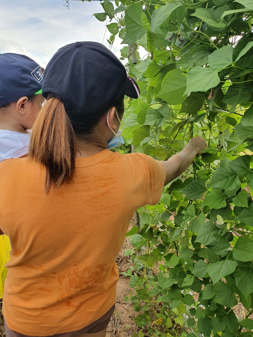 Gem Leonardo profile icon