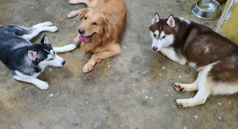 Mrs Joel profile icon