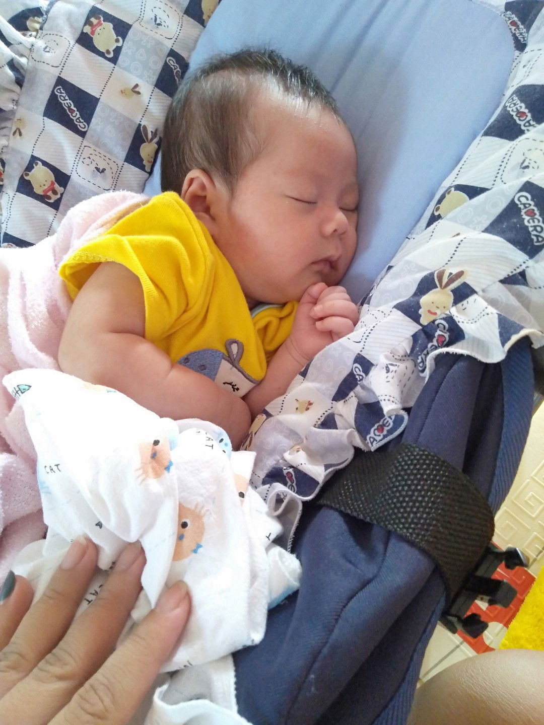 ด.ญ.นภาวดี profile icon