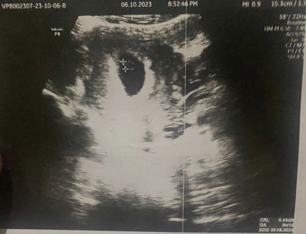 Lia Alia profile icon