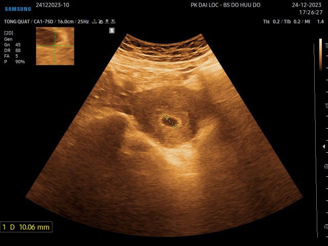 Vương Vũ Nguyên An profile icon