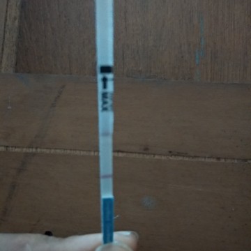 Tespeck