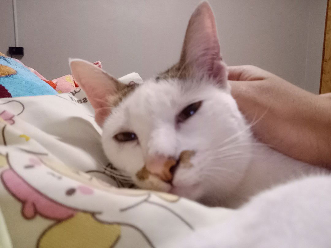 Is Happy profile icon