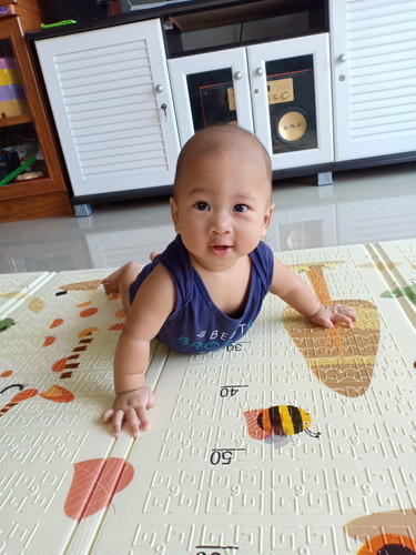 พัฒนาการ