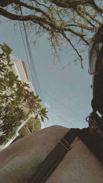 Nia Sari profile icon