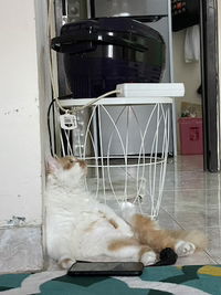 Ghina Fauziyyah profile icon