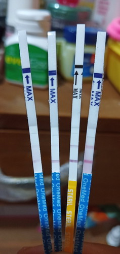 hamil lagi
