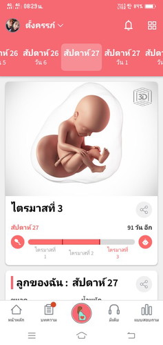 27 week