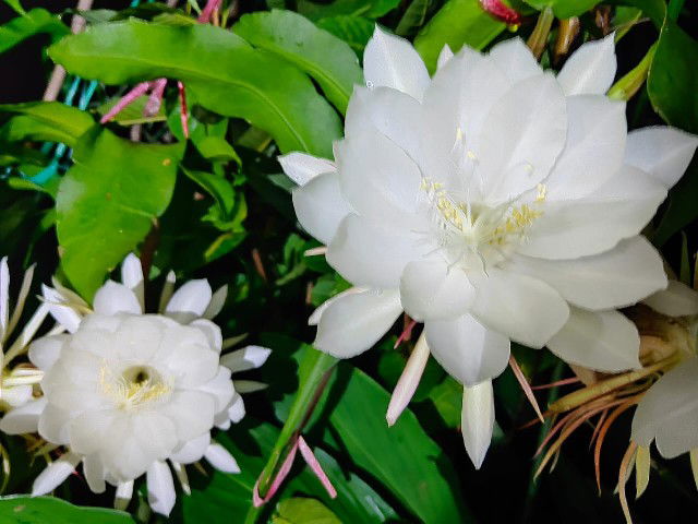 Ny. salim profile icon