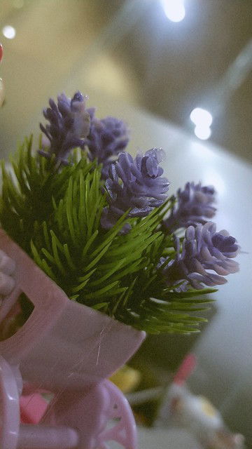 มี๊ !เมย์ profile icon