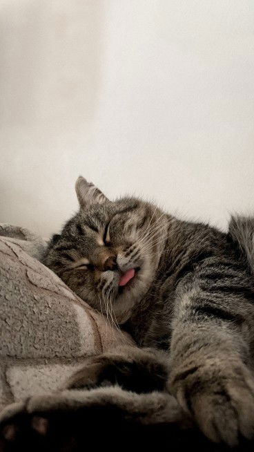 Laili Nadhiroh profile icon