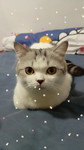 Suttida Tongluangsuk profile icon