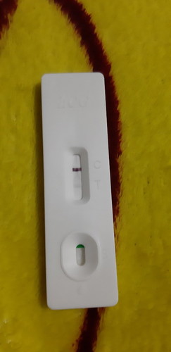 pregnancy test