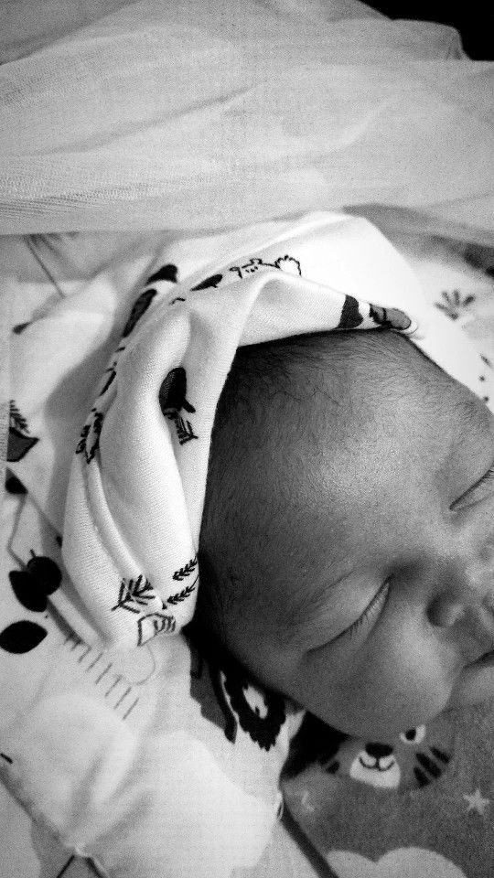 Lara Fani profile icon