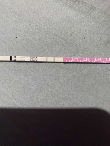 -Ve atau +Ve hamil,Upt Samar²