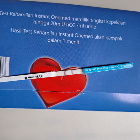 Apakah hamil?