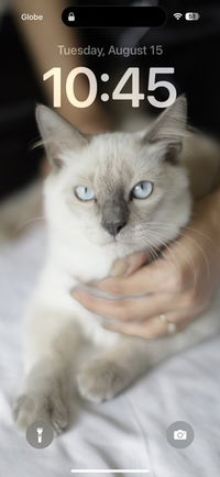 Hai ley profile icon