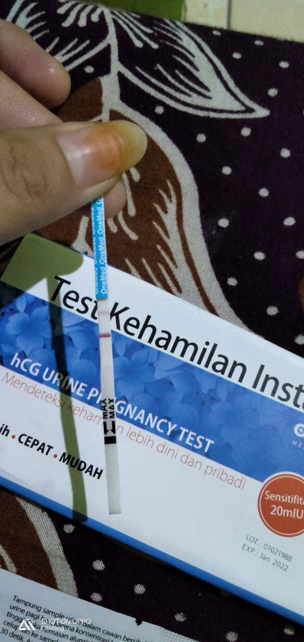 Test kehamilan