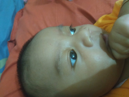 seputar bayi